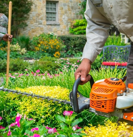 bursa-livadi-peyzaj-bahce-bakim-hizmeti