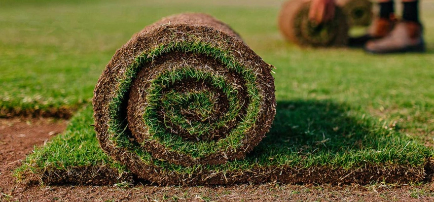 livadi-peyzaj-rulo-cim-tohum-cim